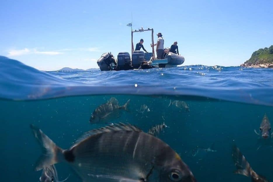 Foto de la experiencia